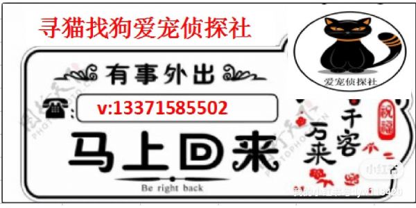 寻猫找猫团队爱宠侦探社:职业寻猫人教你猫咪丢失怎么办?寻猫团队真假难辨,市场混乱,不收费的骗局?找不到不退钱的骗局?什么都需要一个合理的解释,一切合理合法,才能真正明白宠物救援是一份责任也是一份担当!#职业寻猫人 #找猫团队 #找狗团队 #宠物救援