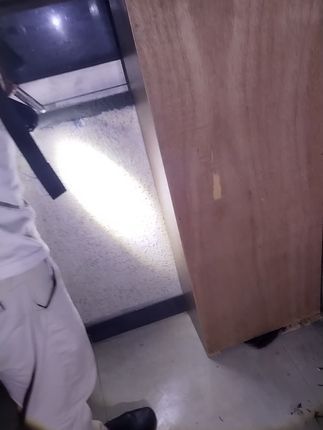 寻猫找猫团队爱宠侦探社:深圳本地专业找猫团队,猫咪捉迷藏他藏的真好!#寻猫启事 #寻猫团队 #宠物救援