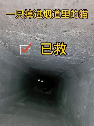寻猫找猫团队爱宠侦探社:出勤深圳宠物救援,铲屎官猫咪掉进烟筒自己救援无果,联系我们团队赶往现场,两小时成功救援!#寻猫启事 #猫咪救援 #万物皆有灵性 #深圳宠物救援团队