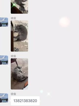 寻猫找猫团队爱宠侦探社:呼和浩特专业寻猫团队出勤呼和浩特寻找丢失三天的蓝猫,超市自己寻找无果,联系我们团队,师傅到达现场两小时成功找回!正规企业,24小时服务!