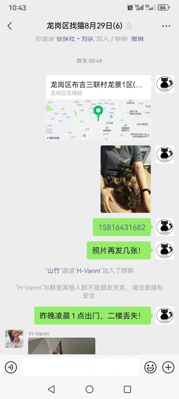 寻猫找猫团队爱宠侦探社:出勤深圳龙岗寻找丢失两天的宠物猫,通过大量排查和监控查询,用时两天成功缩小范围,在幼儿园成功找回爱宠!#寻狗启事 #深圳寻猫团队 #深圳救援团队