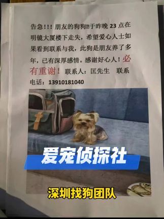 寻猫找猫团队爱宠侦探社:深圳找狗团队专业寻狗团队出勤深圳宝安区松岗寻找丢失两天的狗狗,通过狗狗群里的线索,和监控线索最终成功找回爱宠,感谢你的信任,你的所托我们不负所望!#深圳找狗团队 #深圳寻狗团队 #找狗团队