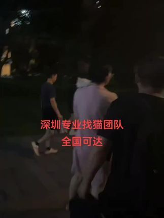 寻猫找猫团队爱宠侦探社:深圳本地专业寻猫团队,猫咪6楼跳楼,庆幸猫猫安全没有外伤,联系第一家团队寻找无果,在第四天联系到我们团队,三名师傅通过监控和实地排查,用时8小时成功找回爱宠!#寻猫启事 #猫丢了怎么办 #寻猫团队 #找猫团队