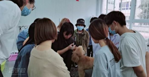 教学现场1