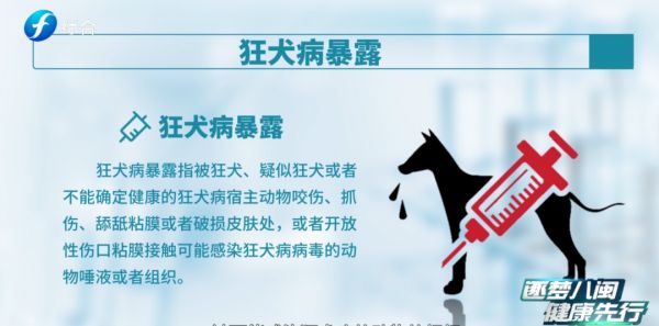 追新看点｜恶犬伤人频发，这些救命知识一定要知道