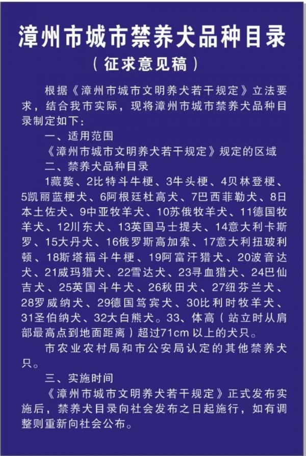 追新看点｜恶犬伤人频发，这些救命知识一定要知道