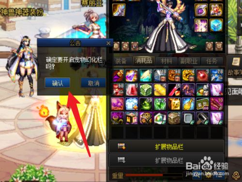 dnf宠物幻化栏道具怎么使用