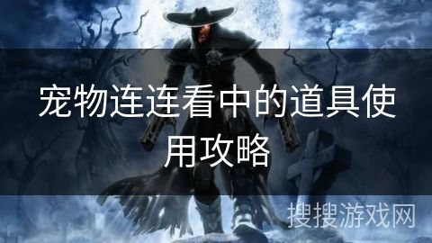 宠物连连看中的道具使用攻略