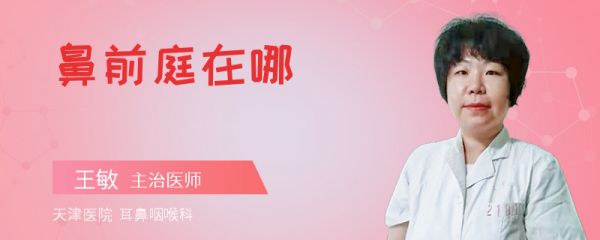 鼻前庭在哪