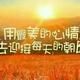 洋洋146922690头像