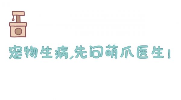 猫狗血糖低，千万要上心!