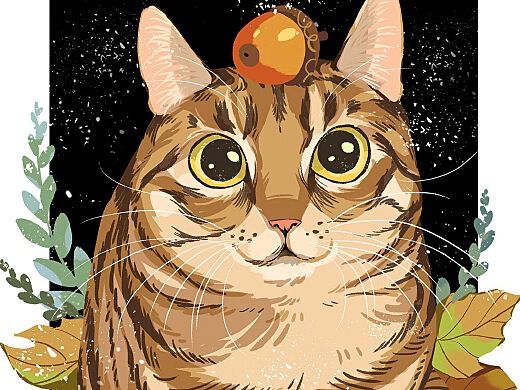 猫咪创意绘画素材库：萌宠艺术创作必备资源