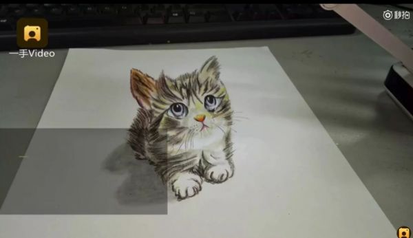 猫咪创意绘画素材库：萌宠艺术创作必备资源