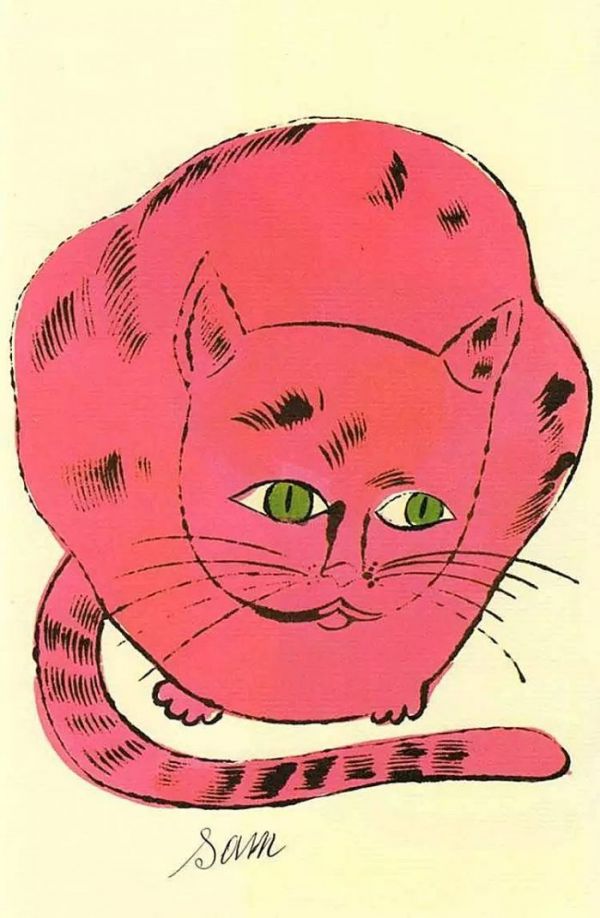 猫咪创意绘画素材库：萌宠艺术创作必备资源