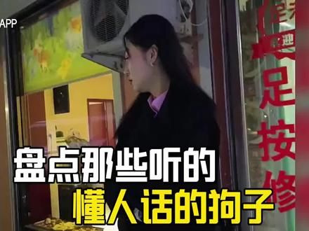 #狗子技能