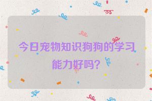 今日宠物知识狗狗的学习能力好吗？