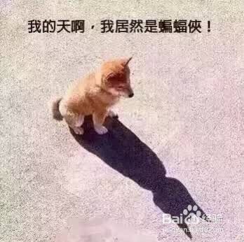 怎样让狗狗学会坐下