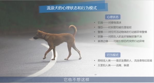 无缘无故被狗咬?其实狗咬人一般有征兆,只是主人不了解