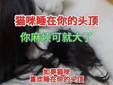 猫咪睡在头顶你麻烦可就大了#养猫 #养猫新手 #养猫经验分享 #养猫知识 #新手养猫技巧