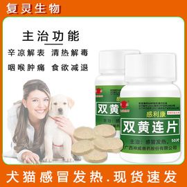 驱虫药物;狗狗医疗药用;皮肤治疗