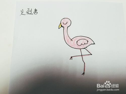 卡通火烈鸟简笔画怎么画呢？