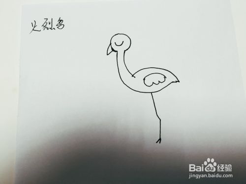 卡通火烈鸟简笔画怎么画呢？