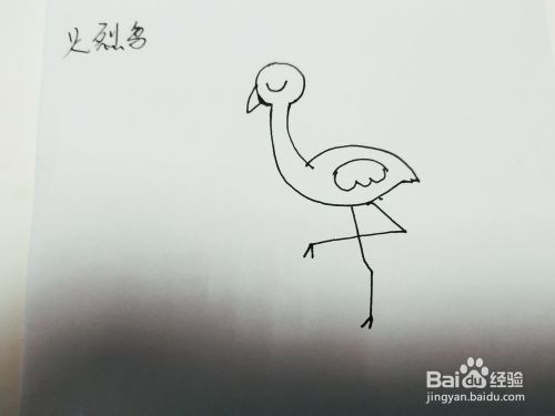卡通火烈鸟简笔画怎么画呢？