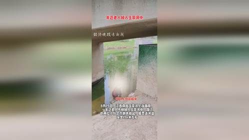年迈老人不慎掉入玉带河中，“旱鸭子”路人翻越栏杆将其救起。