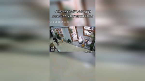 男子持伞殴打5个月大流浪狗，附近商户:狗狗并没有攻击他。