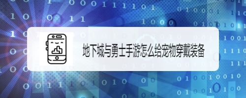 地下城与勇士手游怎么给宠物穿戴装备