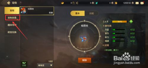 地下城与勇士手游怎么给宠物穿戴装备