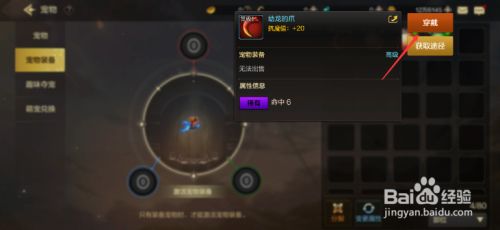 地下城与勇士手游怎么给宠物穿戴装备