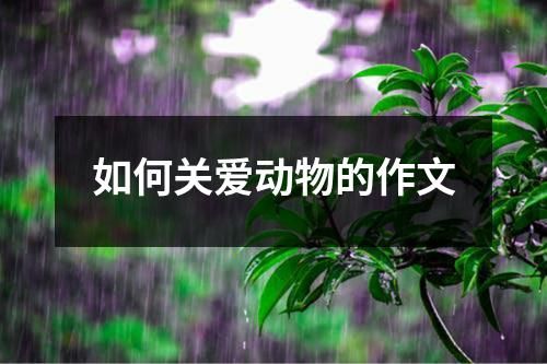 如何关爱动物的作文