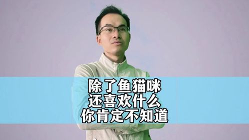 除了鱼猫咪还喜欢什么，你肯定不知道吧？