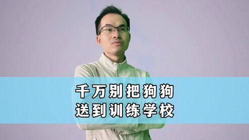 千万别把狗狗送到训练学校