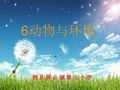 粤教版六年级科学《动物与环境》课件