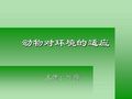 动物对环境的适应