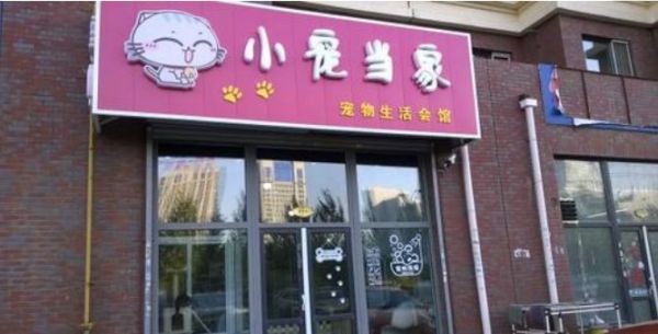 小宠当家宠物店加盟