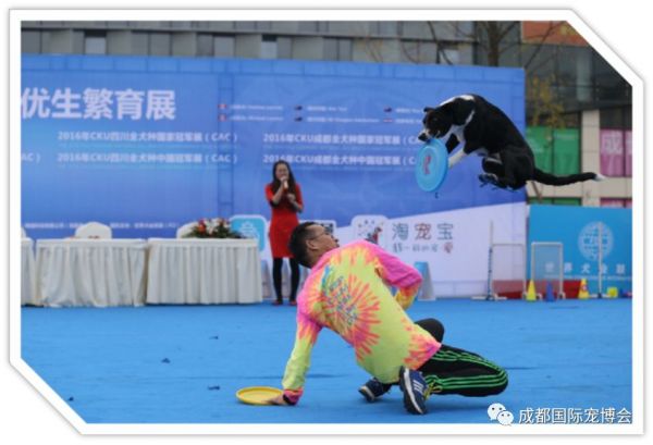 2019成都宠物博览会现场活动时间是怎样安排的?