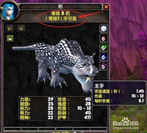 猎人宠物训练点怎么来的
