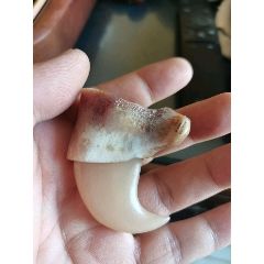 钩子(se99149930)_7788商城__七七八八商品交易平台(7788.com)