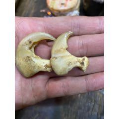 猫爪老爪有点残自己看好保真(se99094961)_7788商城__七七八八商品交易平台(7788.com)