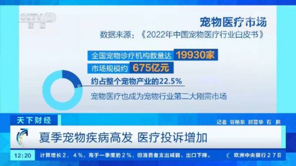 夏季为宠物疾病高发期 宠物相关医疗纠纷增多