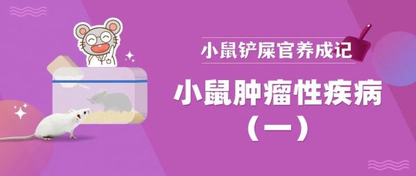 小鼠肿瘤性疾病