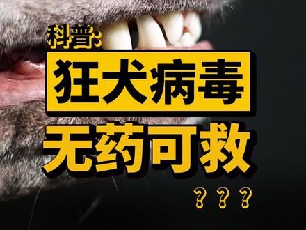 狂犬病毒到底有多狡猾，它进入人体后都做了什么？#科普 #狂犬病毒 #人体奥秘 #生命科学