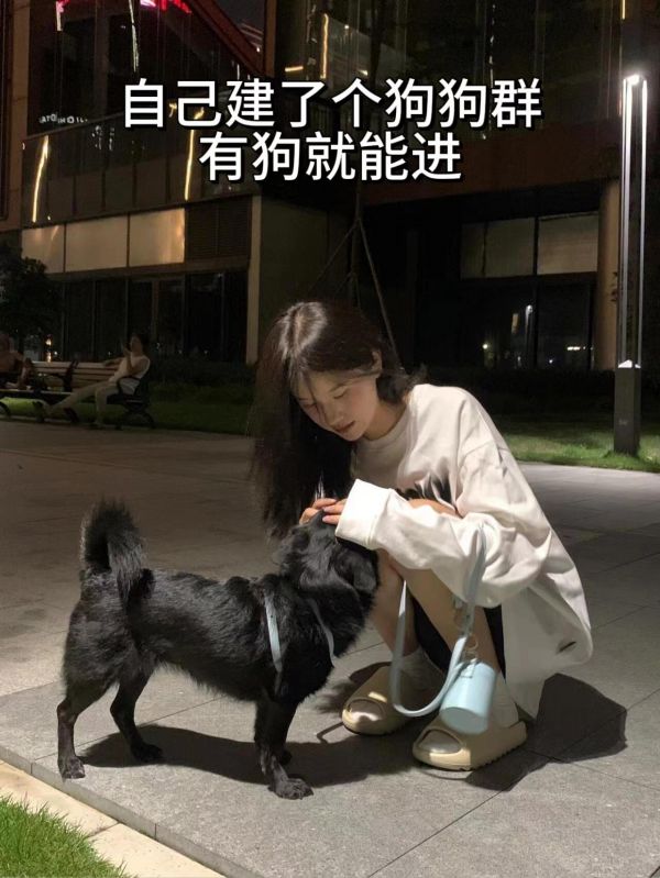 第17集:自己建了个狗狗群 有狗就能进,无高低贵贱之分,大家一起遛狗,一起分享日常,晒狗狗,专治各种疑难杂症,留下你们狗狗照片,我拉你#狗组织#乐宠狗友群#狗狗群#同城宠物群#同城遛狗群