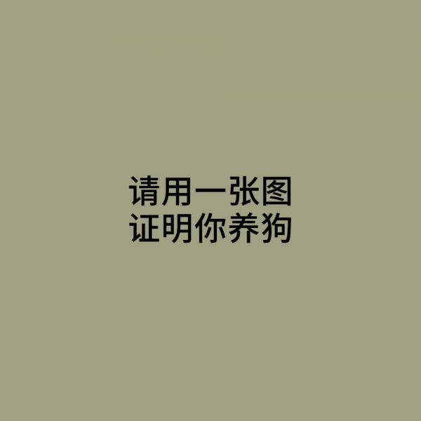 第19集:请用一张图,证明你养狗。建了个狗狗群,有狗就能进 无高低贵贱之分,大家一起分享日常,晒狗狗,专治各种疑难杂症,留下你们狗狗的照片,我拉你呀#狗组织 #乐宠狗友群 #狗狗群 #同城宠物群 #同城遛狗群