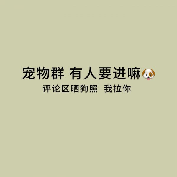 第22集：【建了个狗友群】有狗就能进 连狗都知道要找组织，懂事的铲屎官已经替狗狗找到遛狗群了，你找到了吗[太阳] 有狗就能进，无高低贵贱之分，大家一起分享日常，晒狗狗，专治各种疑难杂症，留下你们狗狗的照片，我拉你呀[咖啡][咖啡]#狗组织#乐宠狗友群#狗狗群#同城宠物群#同城遛狗群