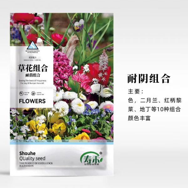 寿禾花种子大全室内室外四季春冬季组合混种 耐荫混合种子5g