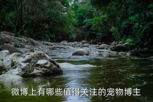 微博上有哪些值得关注的宠物博主